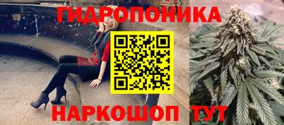соль ск Будённовск